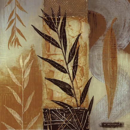 Framed Patterns of Nature IV Print