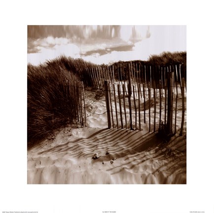 Framed Dunes Print