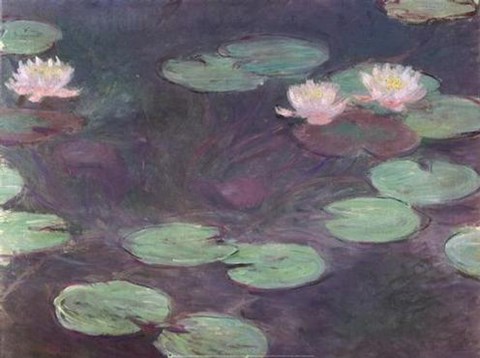 Framed Le ninfee rosa Print