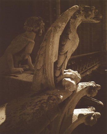 Framed Gargoyle Print