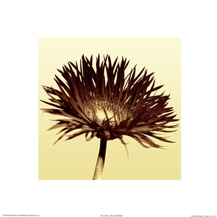 Framed Deco Gerber Print