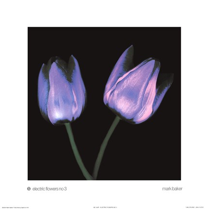 Framed Electric Flowers No.3 Print