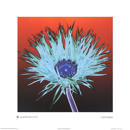 Framed Acid Flowers No. 2 Print
