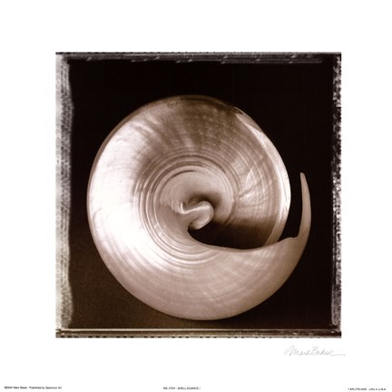 Framed Shell-Egance I Print