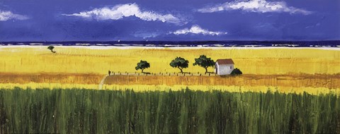 Framed Seaside Barn Print