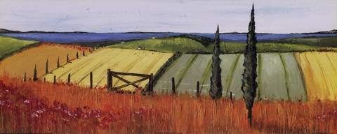 Framed Gate and Two Cypress Print