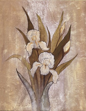 Framed Summer Iris II Print