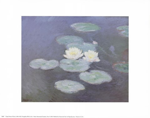 Framed Nympheas Effet du Soir Print