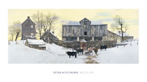 Framed Bull's Eye Print