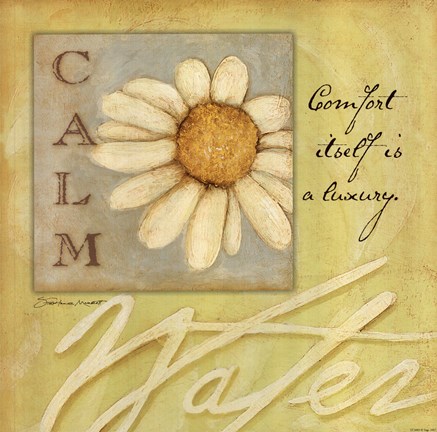 Framed Calm - Daisy Print