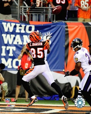 Framed Chad Johnson - 2007 Action Print