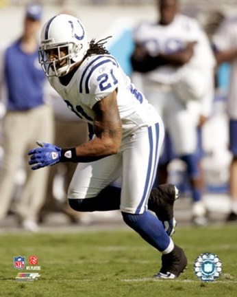 Framed Bob Sanders - 2007 Action Print