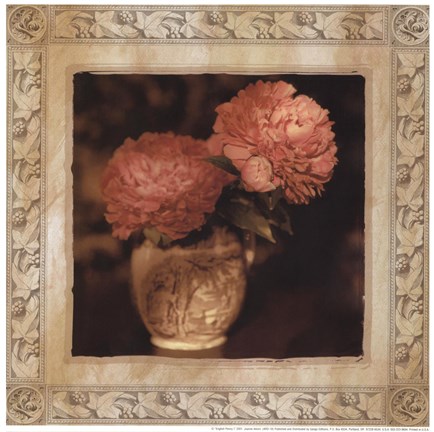 Framed English Peony I Print
