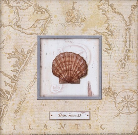 Framed Sea Treasure II - mini Print