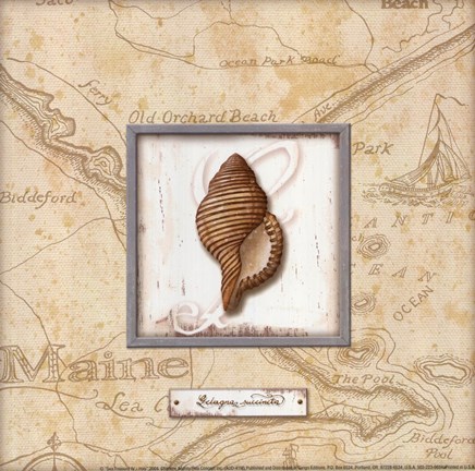 Framed Sea Treasure IV - mini Print