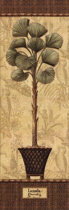 Framed Botanical Palm I Print