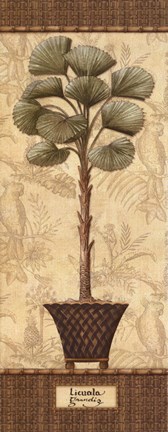 Framed Botanical Palm I - petite Print