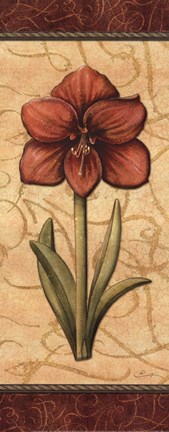 Framed Red Passion Amaryllis- Mini Print