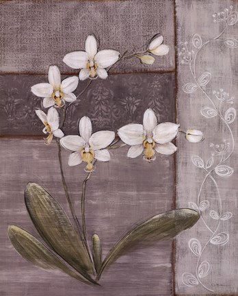 Framed Orchid Shimmer II - mini Print