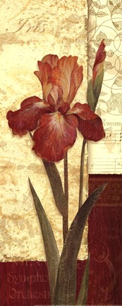 Framed Quattro Sonata II Print