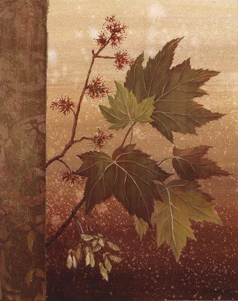 Framed Maple Leaves Print