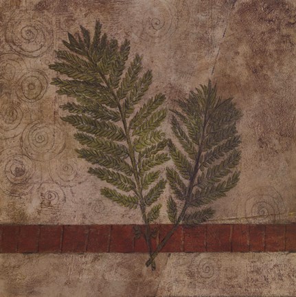 Framed Nature Study 1 Print