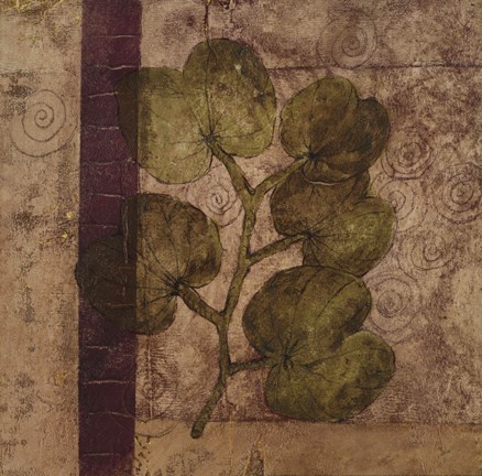 Framed Nature Study 4 Print