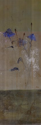 Framed Kimono II - CS Print