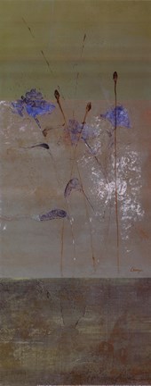 Framed Kimono II - mini - CS Print