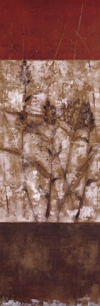 Framed Fresco I - CS Print