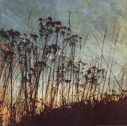 Framed Wild Grass I Print