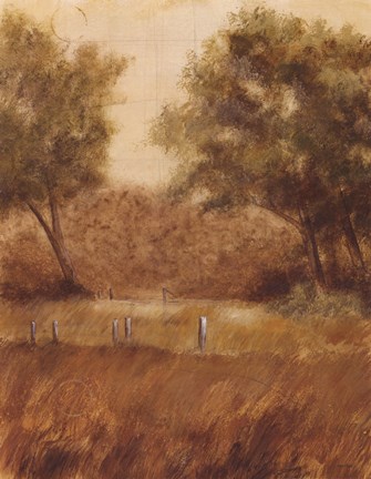 Framed Traveled Path I Print