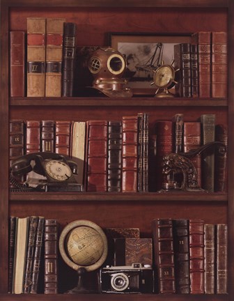 Framed Librairie III Print