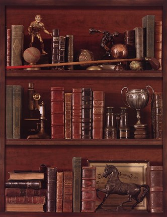 Framed Librairie IV Print