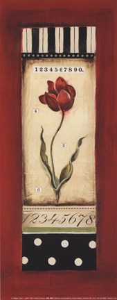 Framed Belgian Tulip II - petite Print