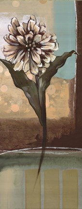 Framed Floral Splendor II Print