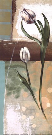 Framed Floral Splendor III - petite Print