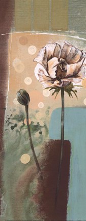 Framed Floral Splendor IV - petite Print
