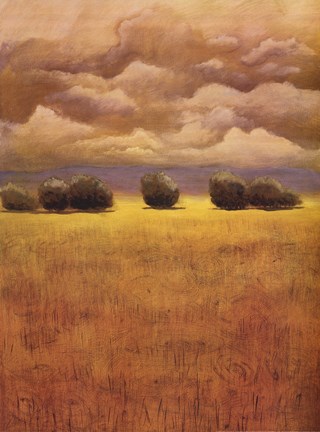 Framed Golden Fields II Print