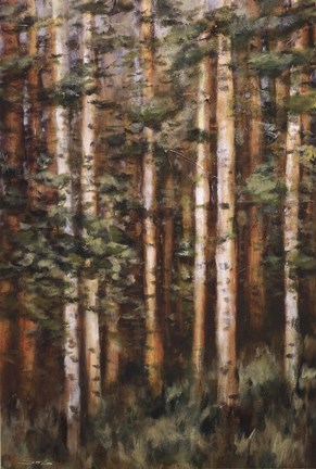 Framed Aspen Beauty II Print