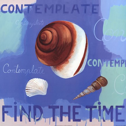 Framed Shells of Time IV Print