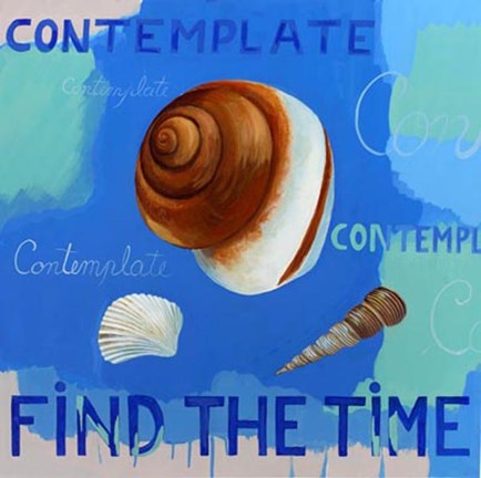 Framed Shells of Time IV Print