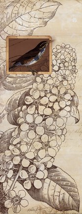 Framed Spring Bird I Print