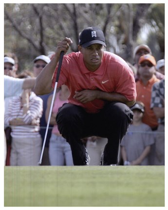 Framed Tiger Woods Lines Up Putt Print