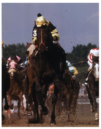 Framed 1977 Kentucky Derby Seattle Slew #816 Print