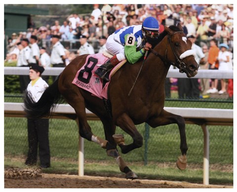 Framed 2006 Kentucky Derby Barbaro Finish Print