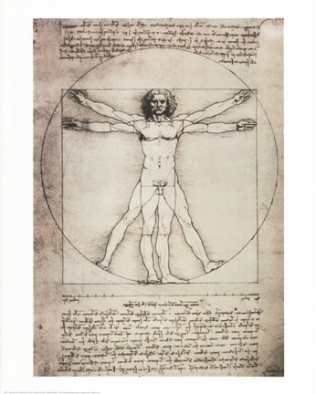 Framed Vitruvian Man, 1492 Print