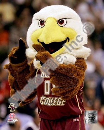 Framed Baldwin, The Boston College Eagles Mascot 2007 Print