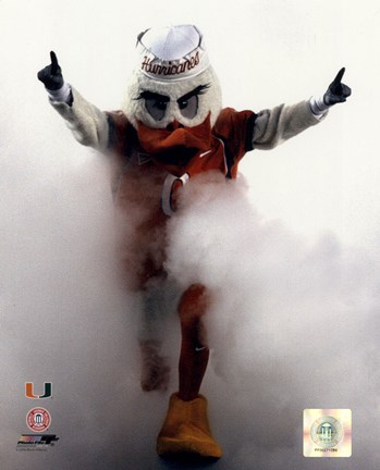 Framed Sebastian the University of Miami Hurricanes mascot 2006 Print