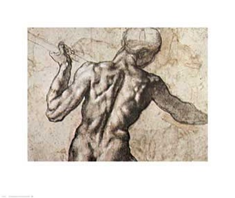 Framed Male Nude, Back View Print